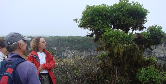 Excellent guide explaining the unique trees © BW Media